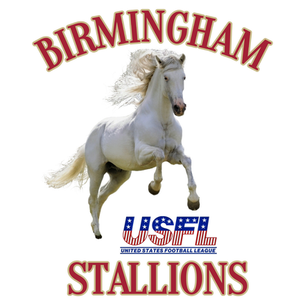 Birmingham Stallions Cream Collection Usfl Jersey - 5XL - Royal Retros